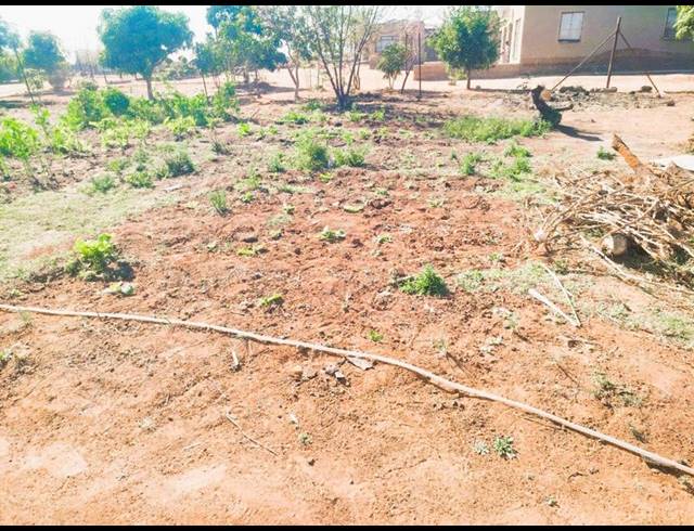 LAND FOR SALE IN MANKWENG